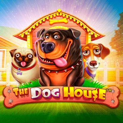 dog house